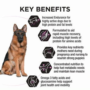 Proplan Dog Performance