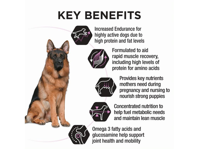 Proplan Dog Performance