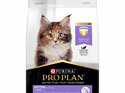 Proplan Kitten