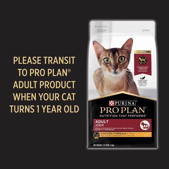 Proplan Kitten