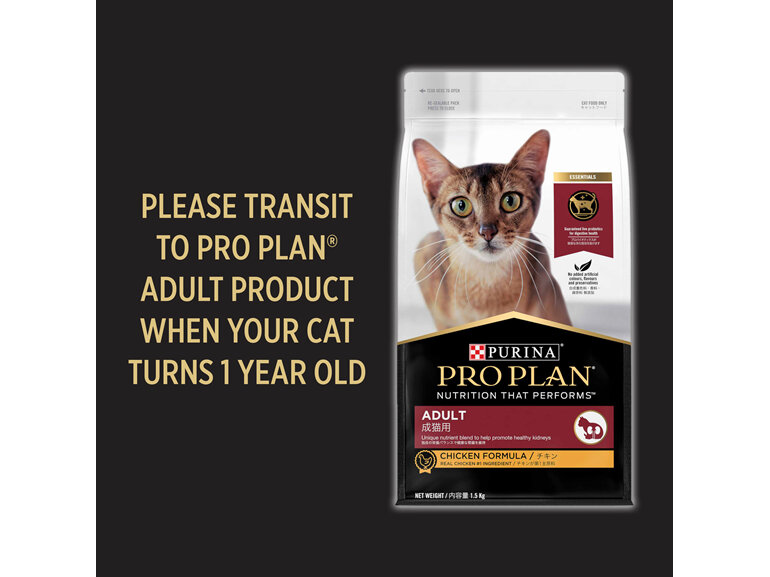 Proplan Kitten