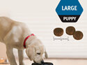 Proplan Puppy Large Breed Chicken