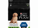 Proplan Puppy Large Breed Chicken
