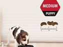 Proplan Puppy Medium Breed Chick