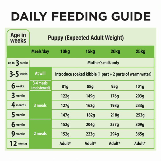 Proplan Puppy Medium Breed Chick