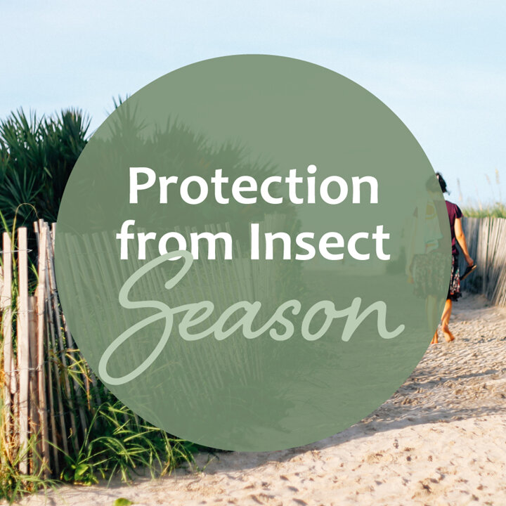 Protection From Insect Season