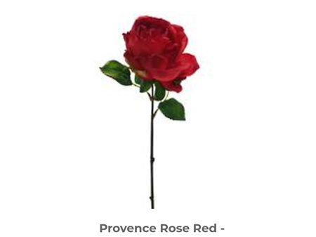 Provence Rose w2 lvs 40cm Red