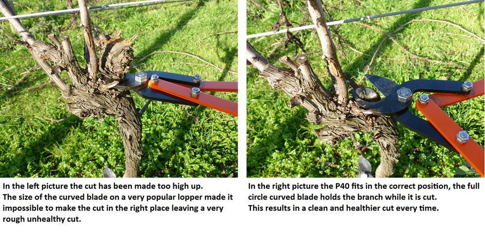 pruning loppers, horticulture pruning loppers