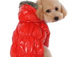 Puffer jacket - Red