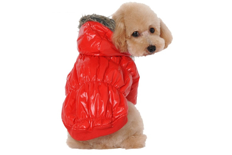 Puffer jacket - Red