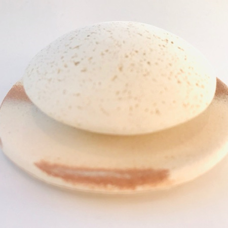 Pumice Stone for Face with Dish