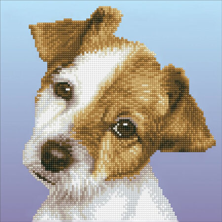 Puppy - Diamond Art - Intermediate Kit