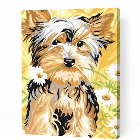 Puppy - Paint By Numbers - Canvas On Wooden Frame