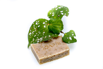 pure natural handmade tea tree + eucalyptus soap