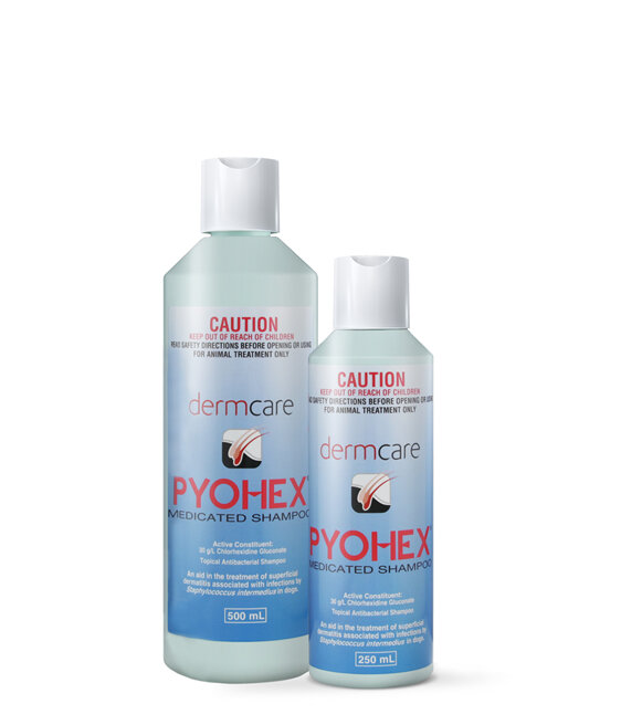 Pyohex® Medicated Shampoo for Dogs