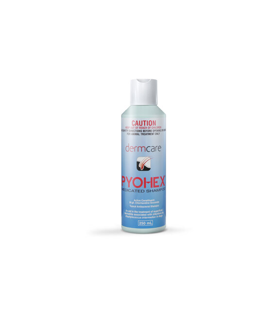 Pyohex® Medicated Shampoo for Dogs