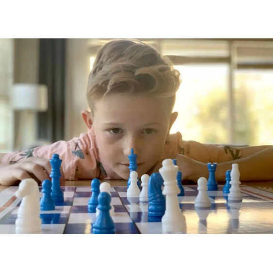 Quick Chess by Roo Games kids family game