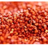 Quinoa Red Organic Approx 100g