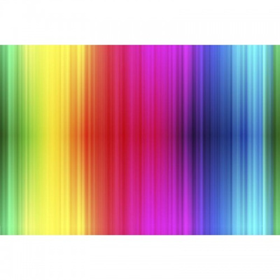 Rainbow Rose - Gradient Stripe