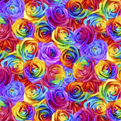 Rainbow Rose - Packed Roses