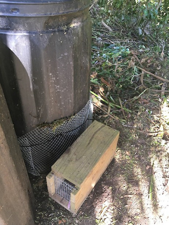Rat Proofing - Choice Composting