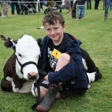 Rearing calves