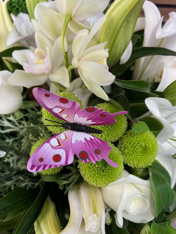 Pretty ornamental Butterfly 