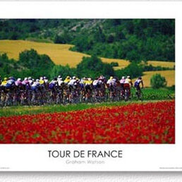 Red Flowers - 1996 Tour de France