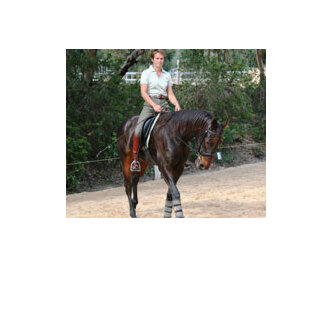 Retraining the Standardbred