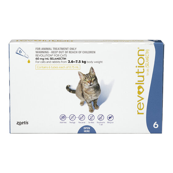 Revolution Cat  2.6kg - 7.5kg - 6 pack