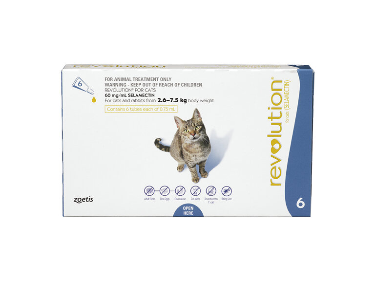 Revolution Cat  2.6kg - 7.5kg - 6 pack