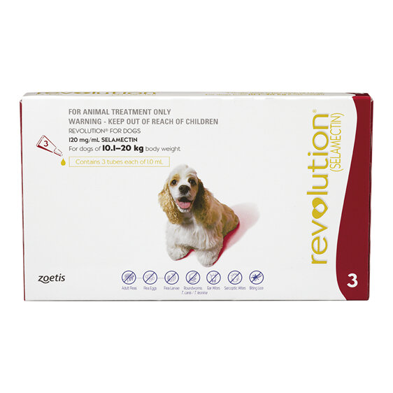 Revolution® for Dogs 10.1kg - 20kg - 3 pack