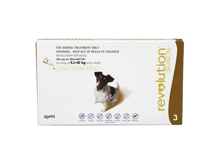 Revolution® for Dogs 5.1kg - 10kg - 3 pack