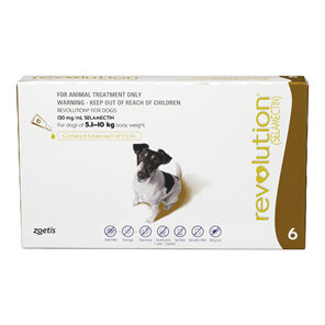 Revolution® for Dogs 5.1kg - 10kg - 6 pack