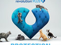 Revolution Plus for Cats 2.5 to 5.0kg treats fleas, worms & mites 1pk