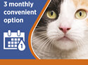 Revolution Plus for Cats 2.5 to 5.0kg treats fleas, worms & mites 3pk