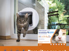 Revolution Plus for Cats 2.5 to 5.0kg treats fleas, worms & mites 3pk