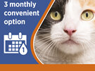 Revolution Plus for Cats 2.5 to 5.0kg treats fleas, worms & mites 3pk