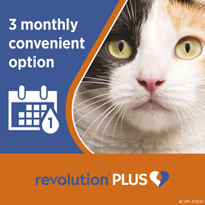 Revolution Plus for Cats 2.5 to 5.0kg treats fleas, worms & mites 3pk