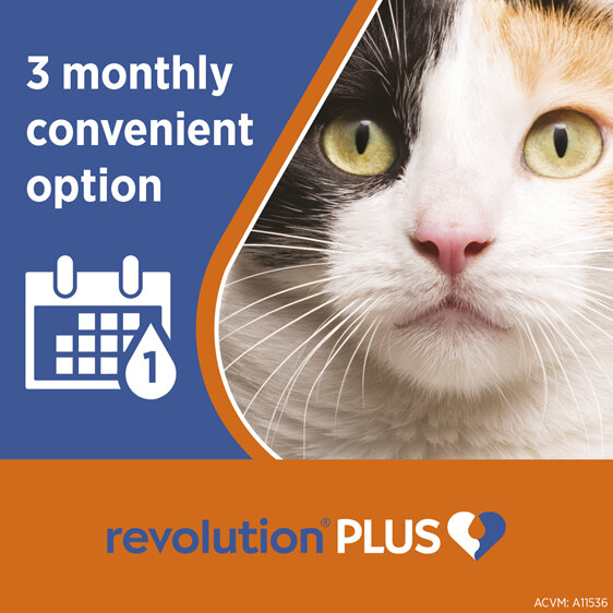 Revolution Plus for Cats 2.5 to 5.0kg treats fleas, worms & mites 3pk