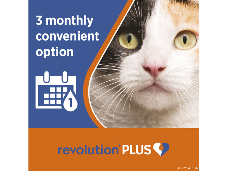 Revolution Plus for Cats 2.5 to 5.0kg treats fleas, worms & mites 3pk