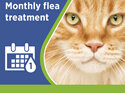 Revolution Plus for Cats 5.0 to 10kg treats fleas, worms & mites 1pk