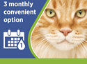Revolution Plus for Cats 5.0 to 10kg treats fleas, worms & mites 3pk