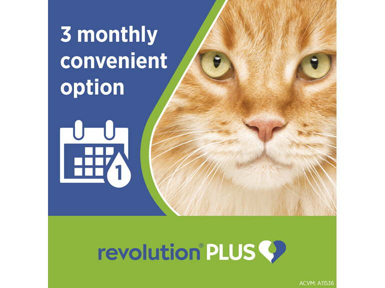 Revolution Plus for Cats 5.0 to 10kg treats fleas, worms & mites 3pk