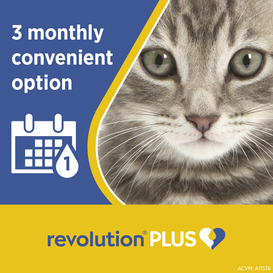 Revolution Plus for Cats Less than 2.5kg treats fleas, worms & mites 3pk