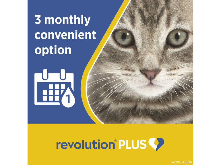 Revolution Plus for Cats Less than 2.5kg treats fleas, worms & mites 3pk