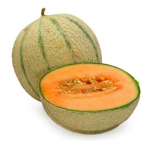 Rock Melon Organic - 1 whole