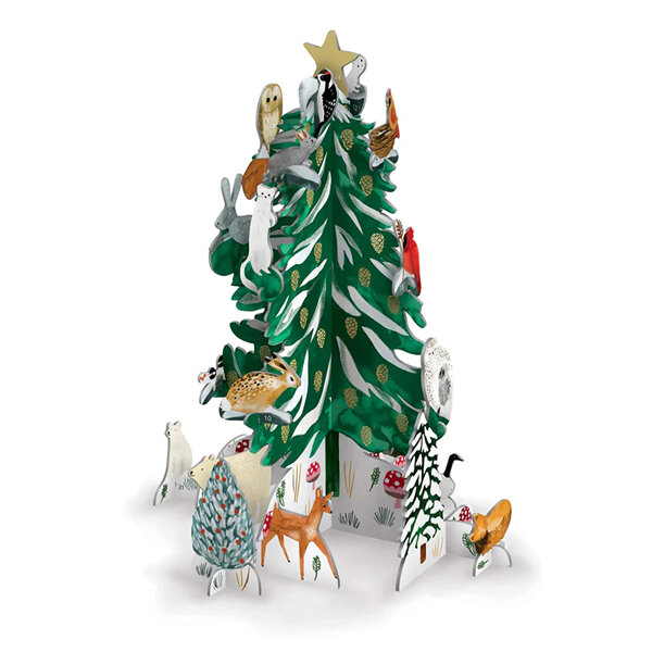 Roger La Borde Christmas Conifer Advent Calendar Pop & Slot