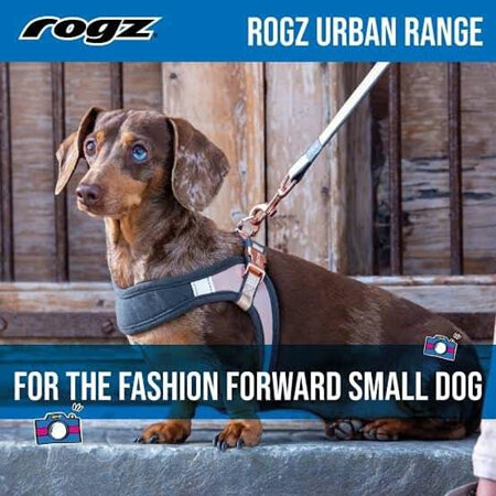 Rogz - Classic Urban Lead