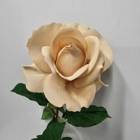 Rose Bloom Light Brown 4649